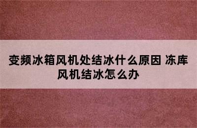 变频冰箱风机处结冰什么原因 冻库风机结冰怎么办